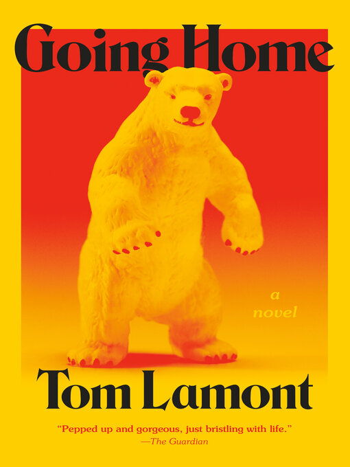 Title details for Going Home by Tom Lamont - Wait list